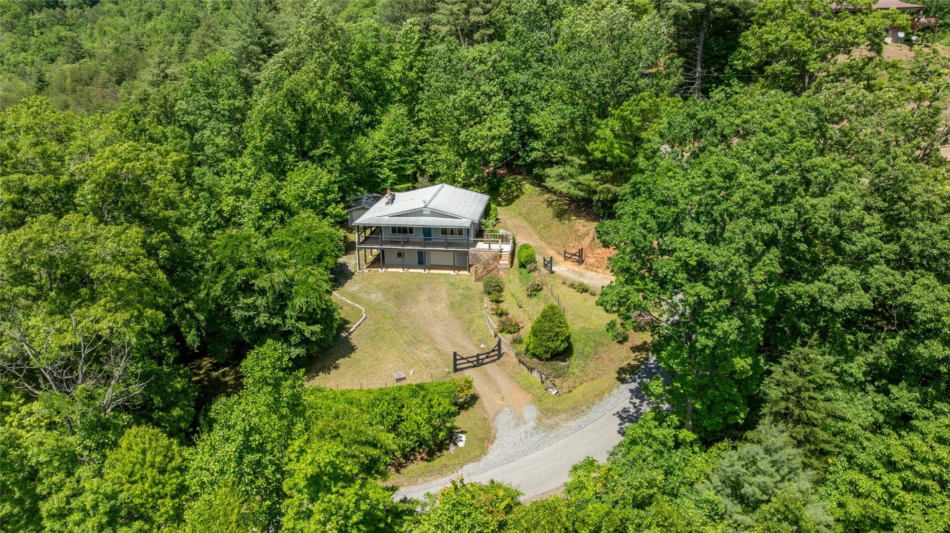 228 Mountain Laurel Drive
