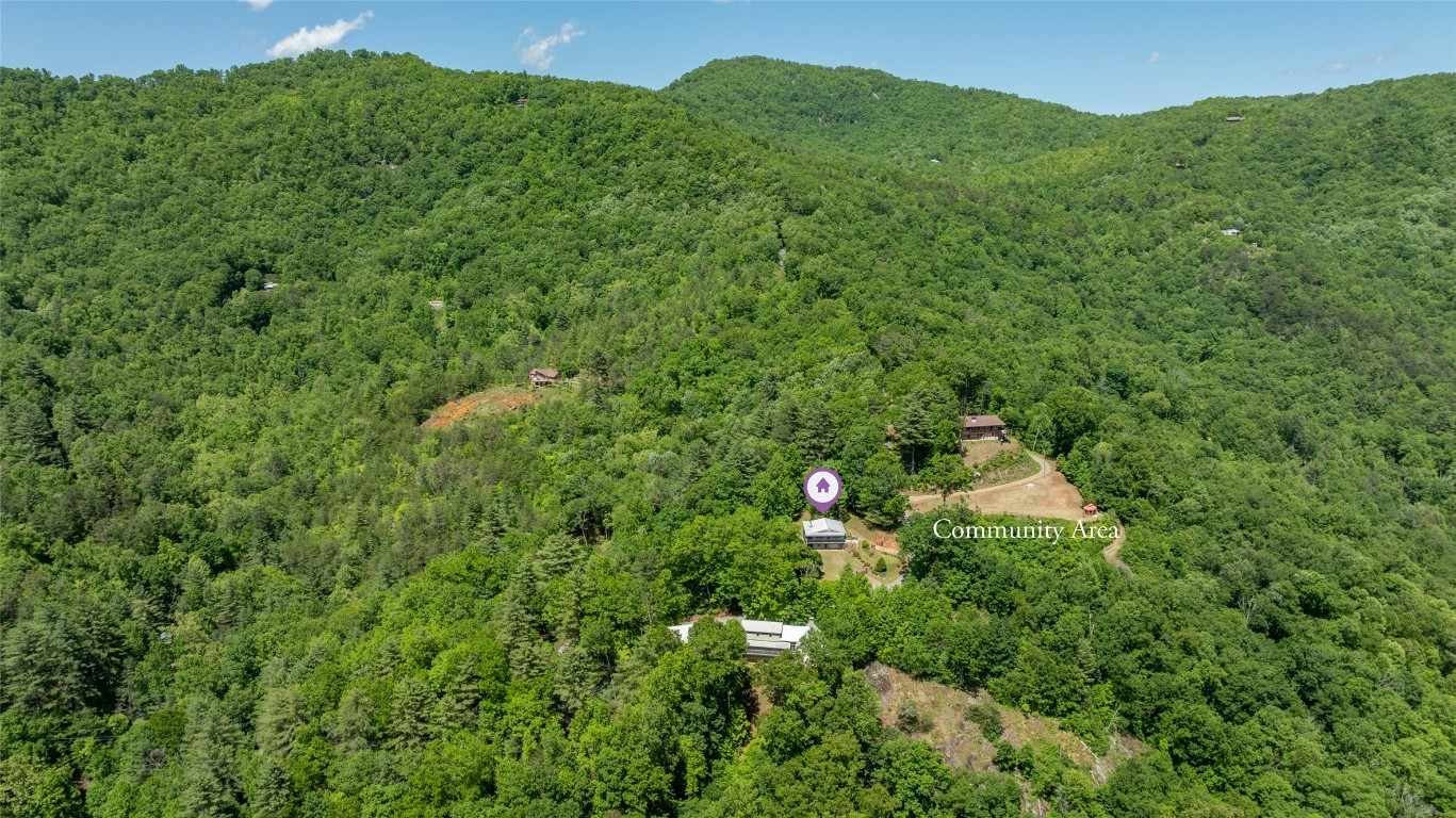 228 Mountain Laurel Drive