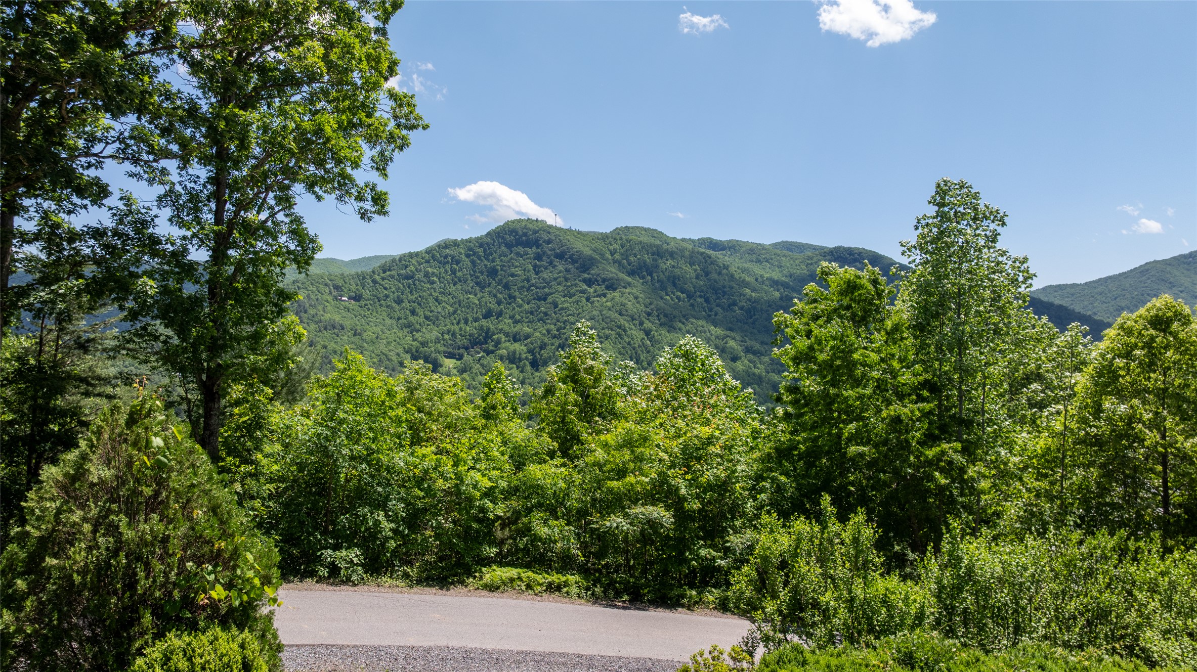 228 Mountain Laurel Drive
