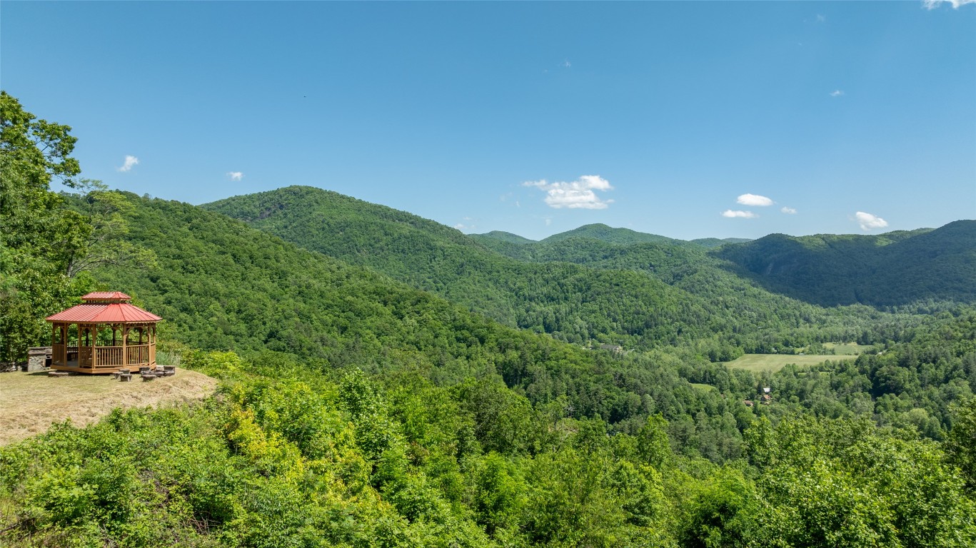 228 Mountain Laurel Drive