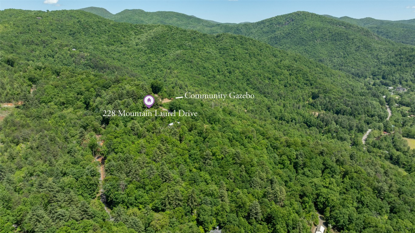 228 Mountain Laurel Drive