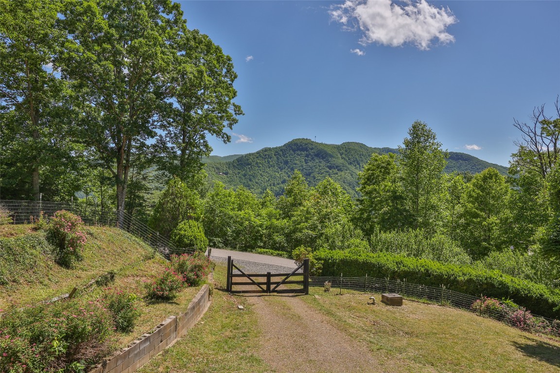 228 Mountain Laurel Drive