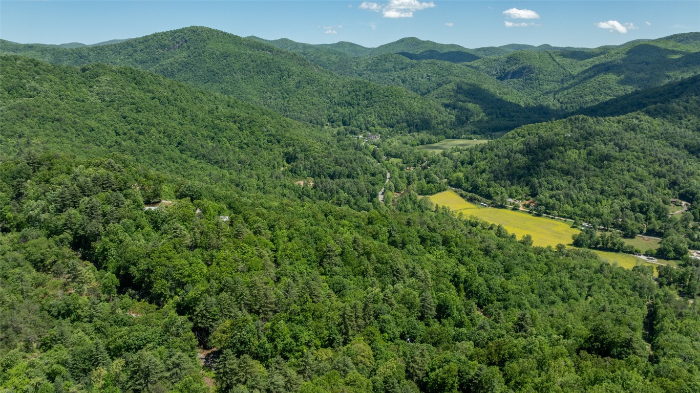 228 Mountain Laurel Drive