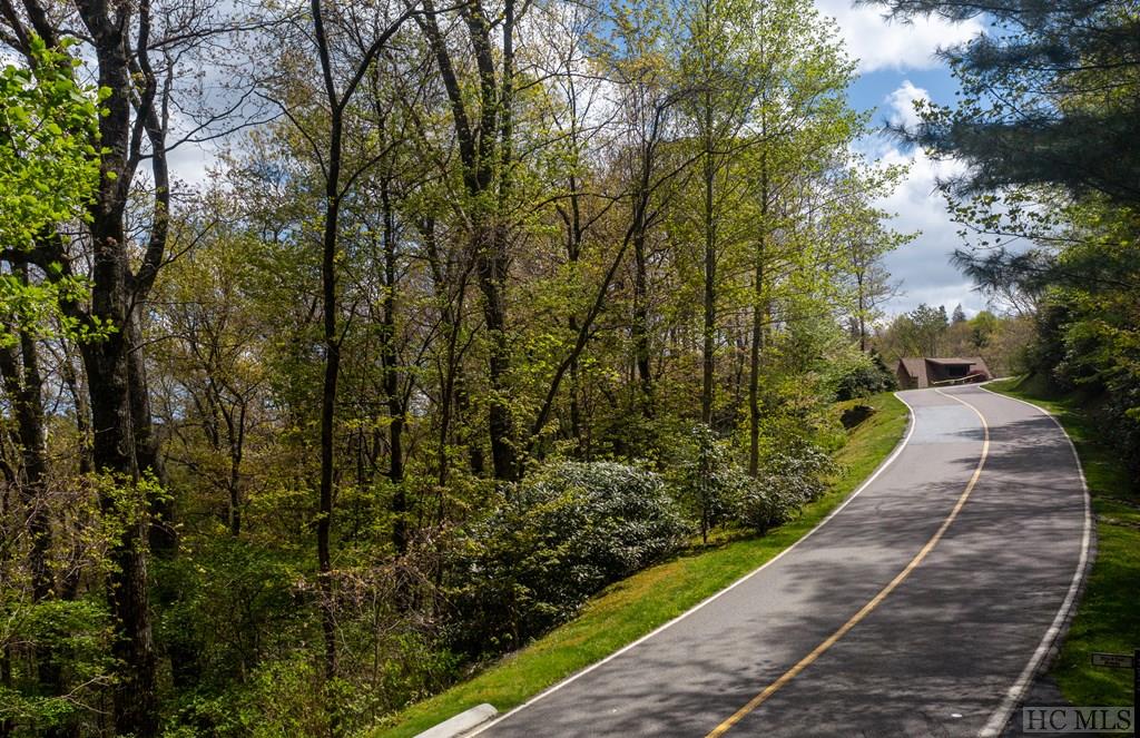 Lot 183 Lost Trail