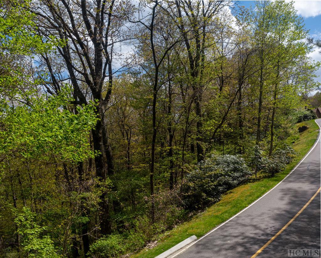 Lot 183 Lost Trail