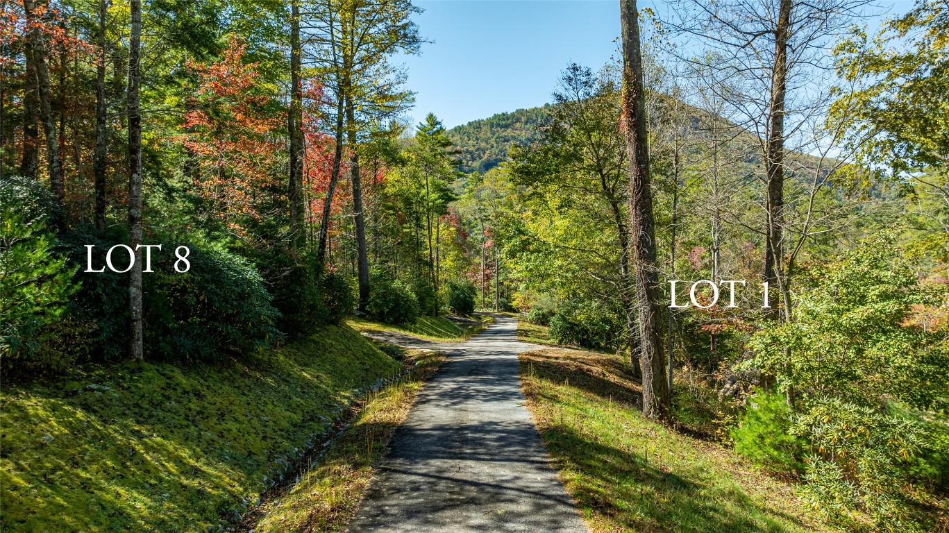 Lot 1 Sanctuary View Trail