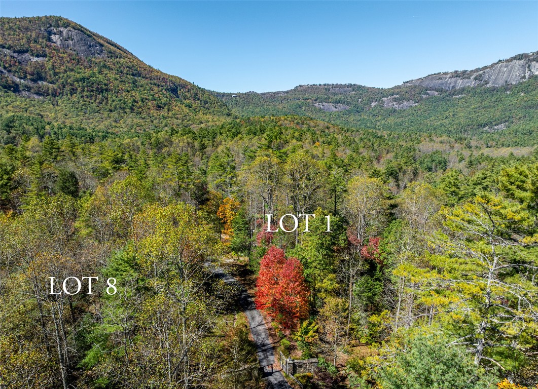 Lot 1 Sanctuary View Trail