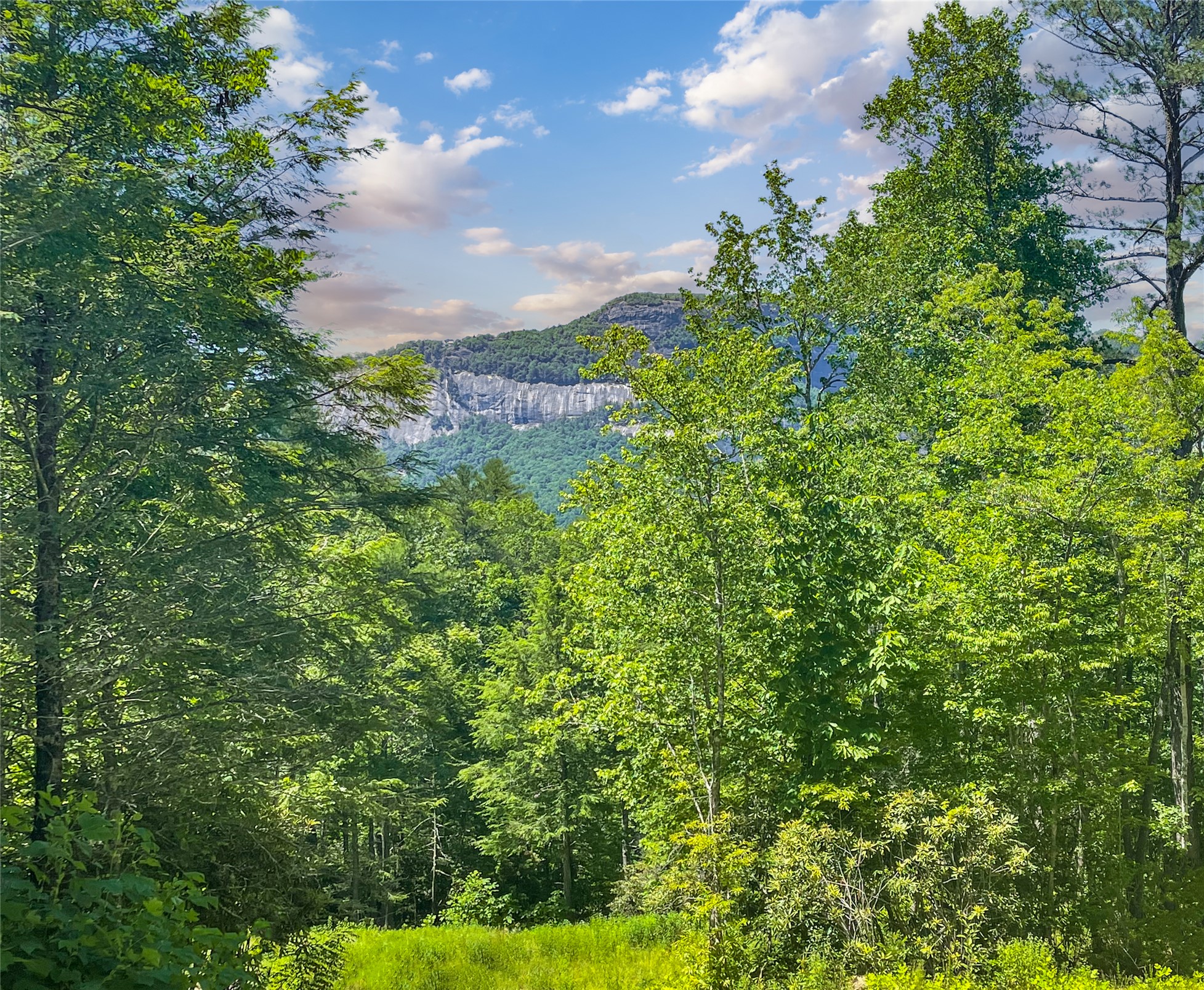 Lot 1 Sanctuary View Trail