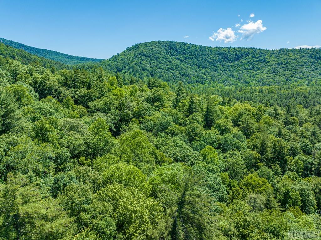 TBD Chastain Valley Road