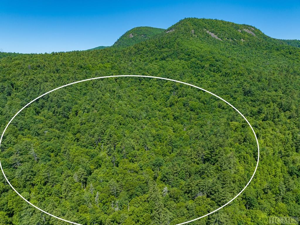 TBD Chastain Valley Road