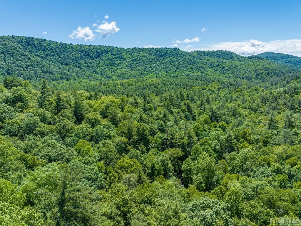 TBD Chastain Valley Road