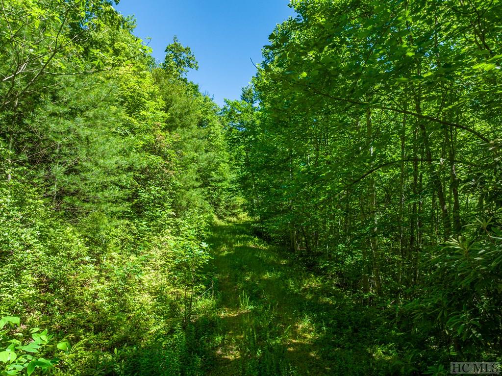 TBD Chastain Valley Road