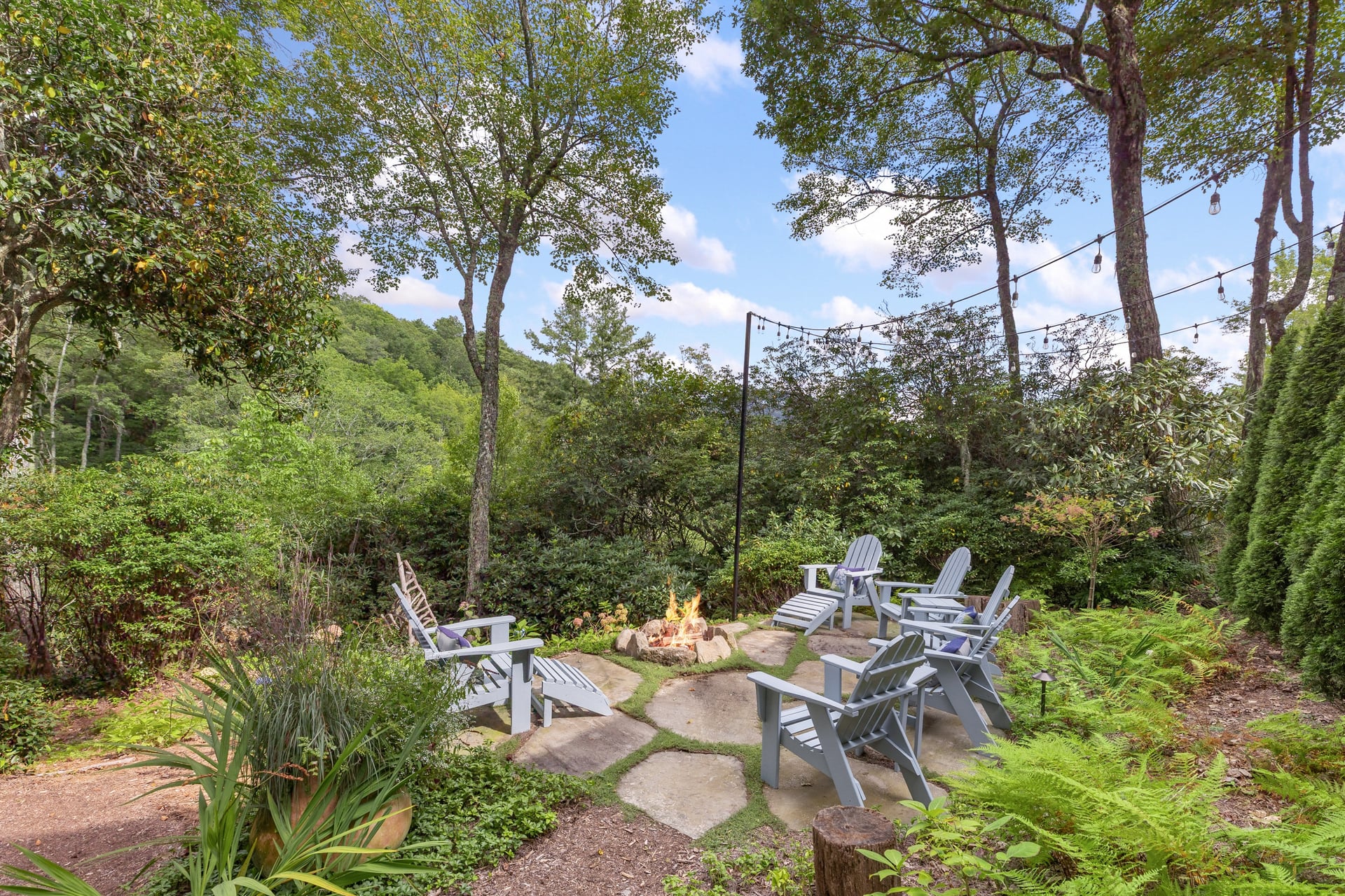 1442 Owl Gap Road