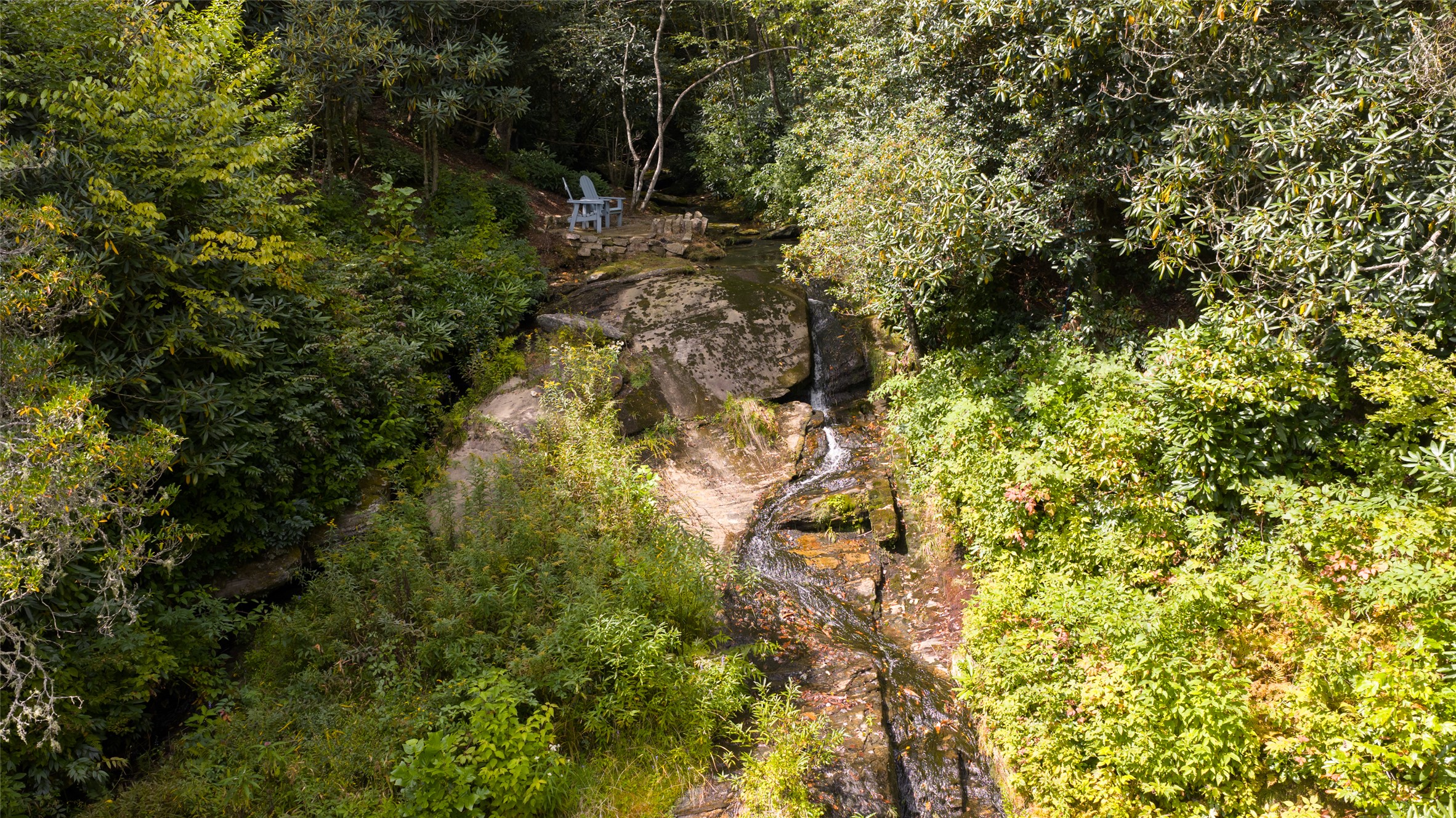 1442 Owl Gap Road