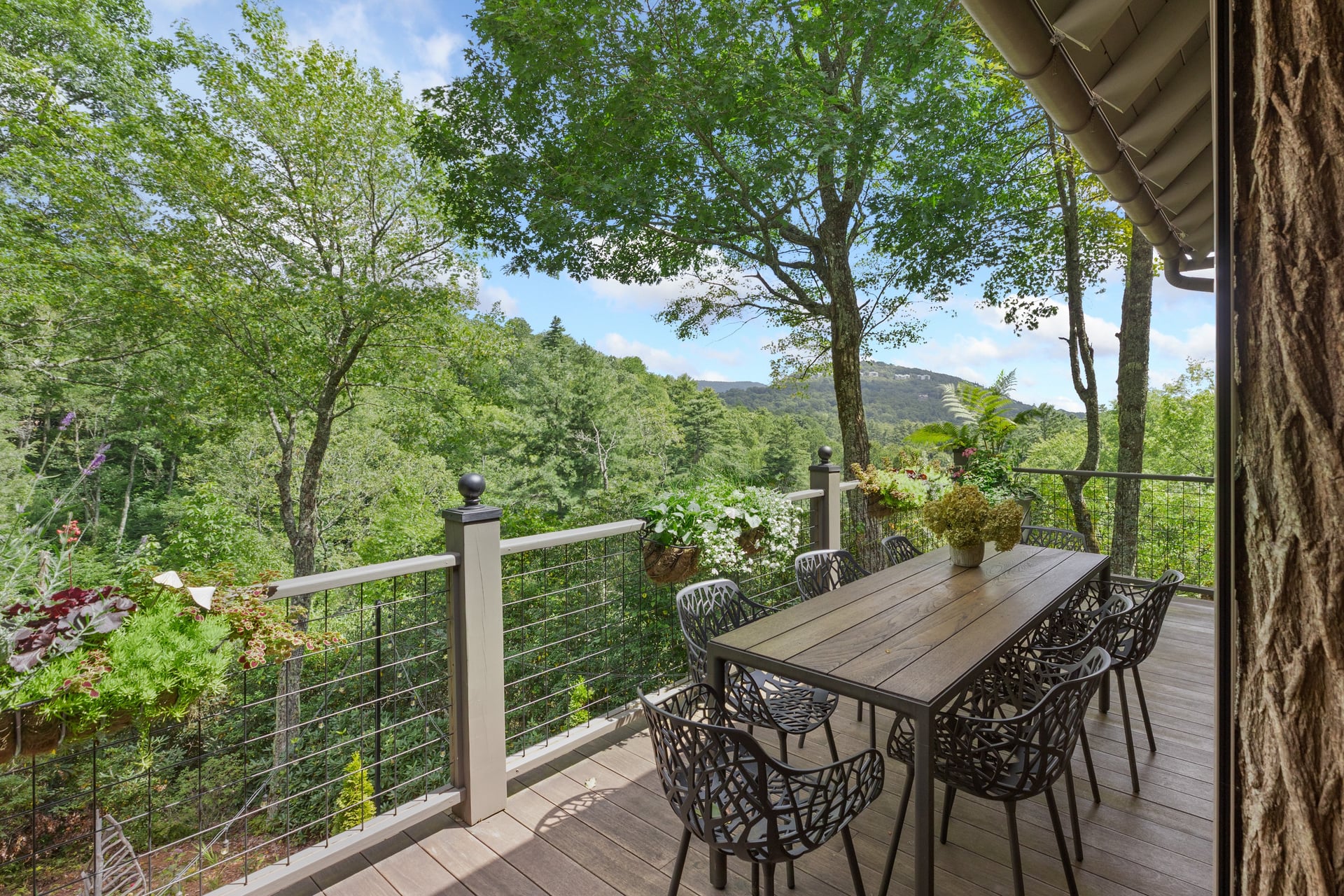 1442 Owl Gap Road