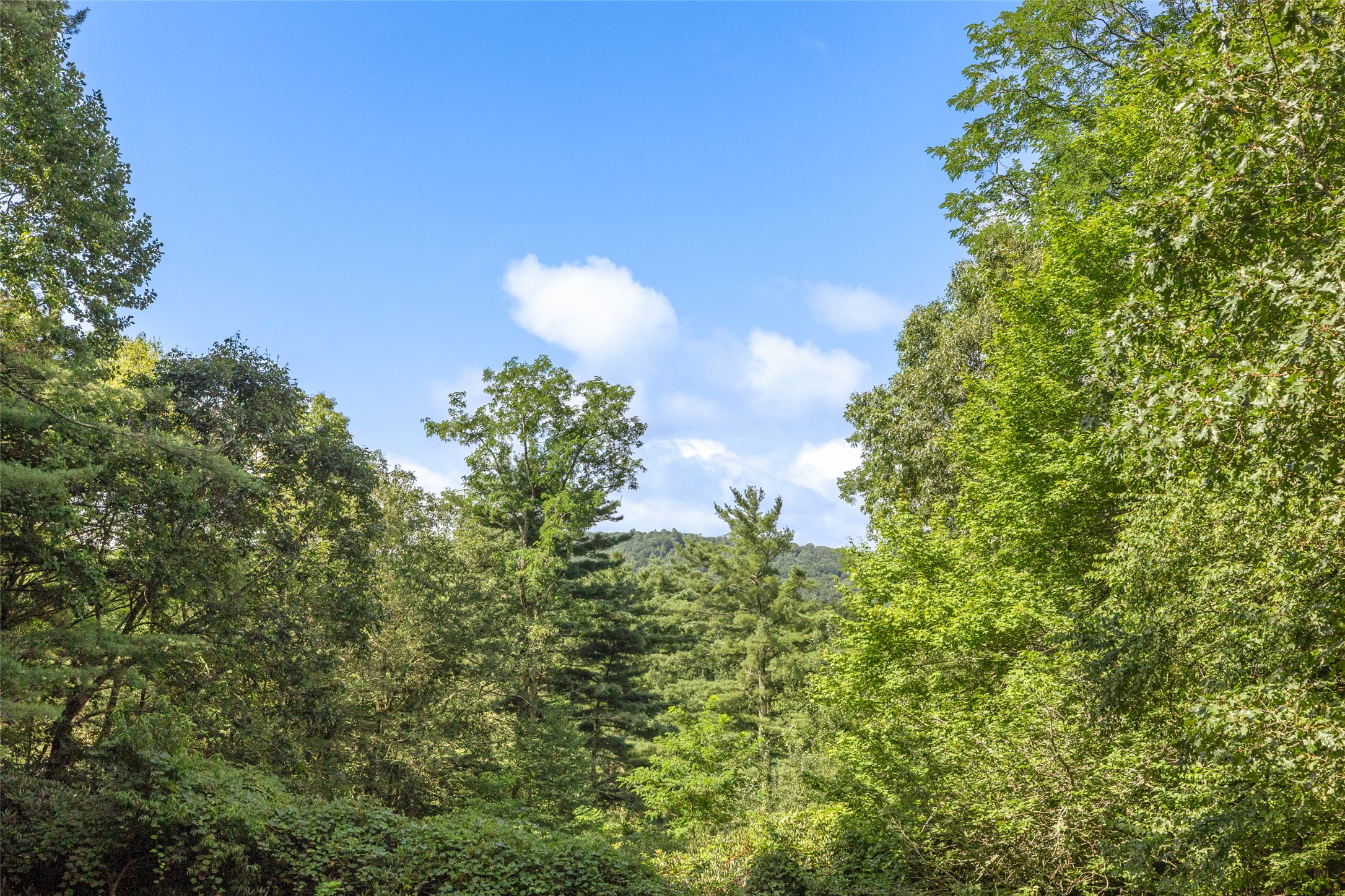 240 Laurel Heights Road