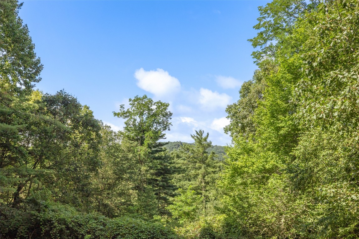 240 Laurel Heights Road