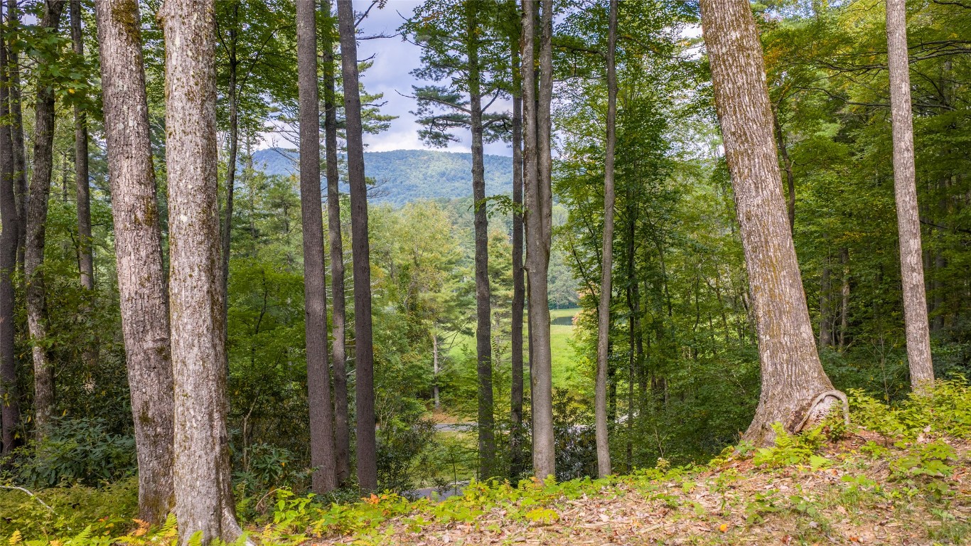 FE-3 Triple Farm Road