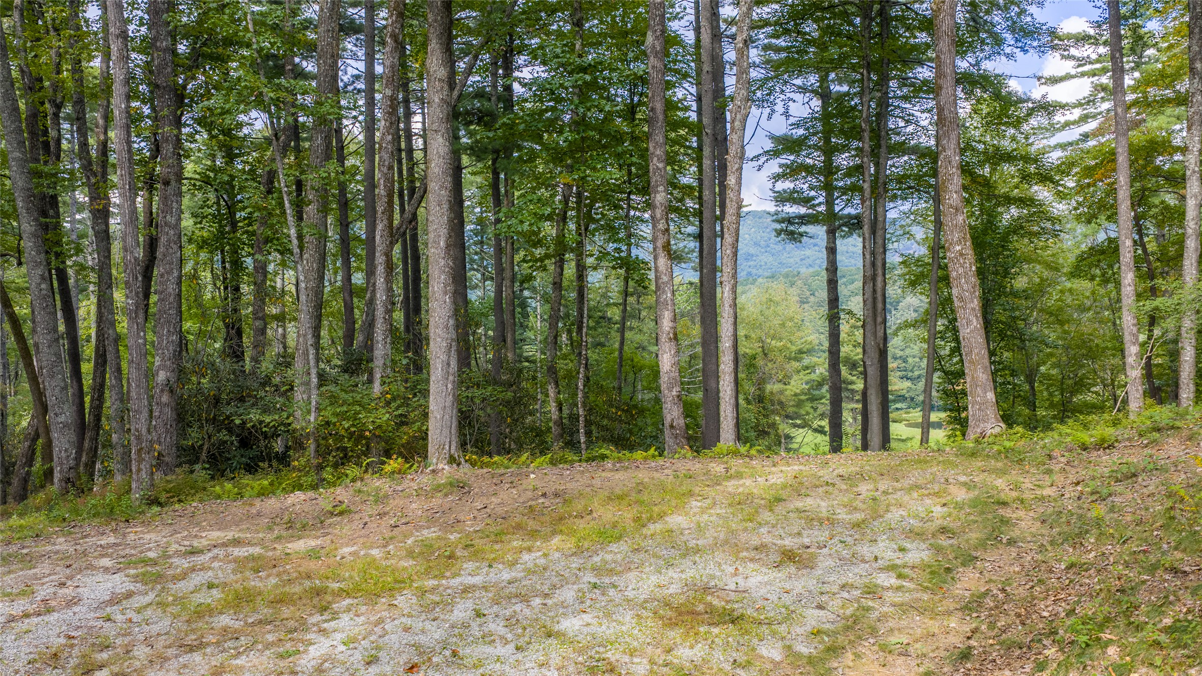 FE-3 Triple Farm Road