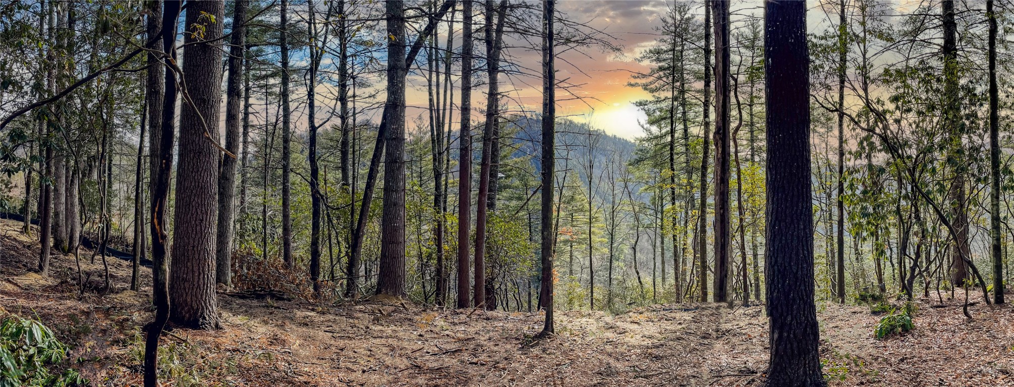 Lot 9 Saratay Falls Drive