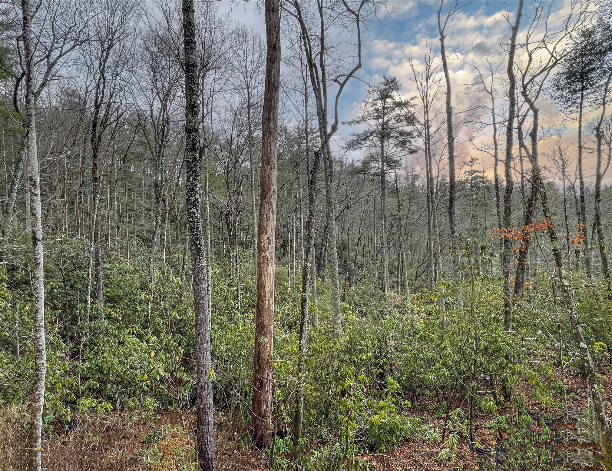 Lot 6 Hayes Trail Drive