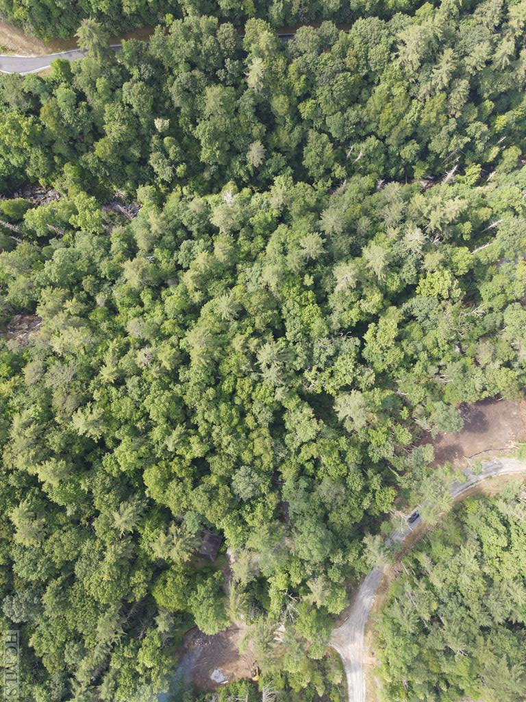 Lot 6 Hayes Trail Drive