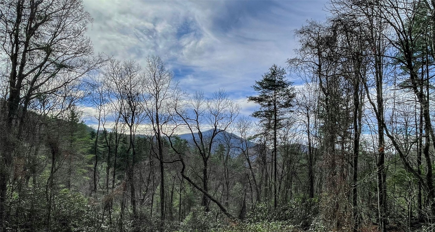 Lot 6 Hayes Trail Drive