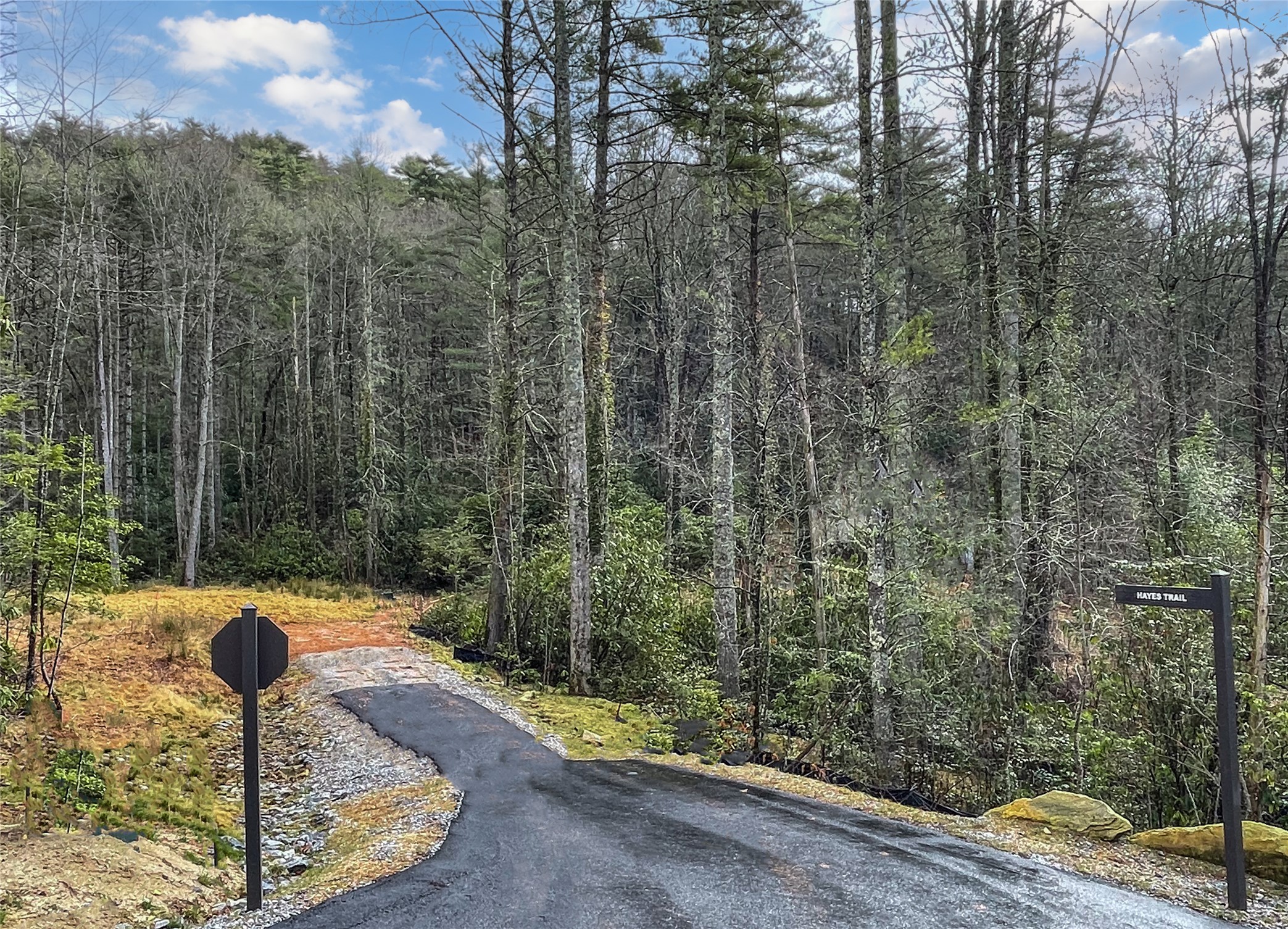 Lot 6 Hayes Trail Drive