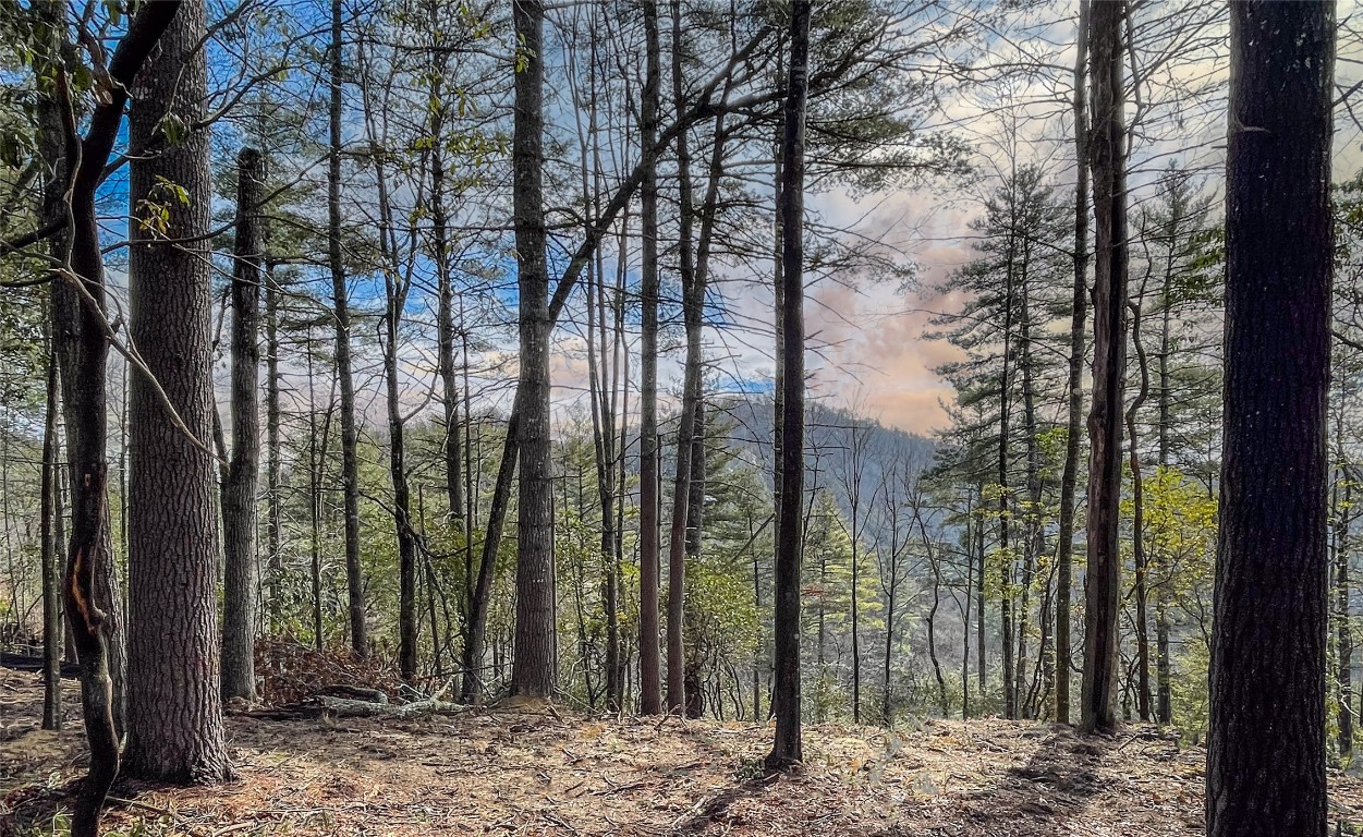 159 Saratay Falls Drive