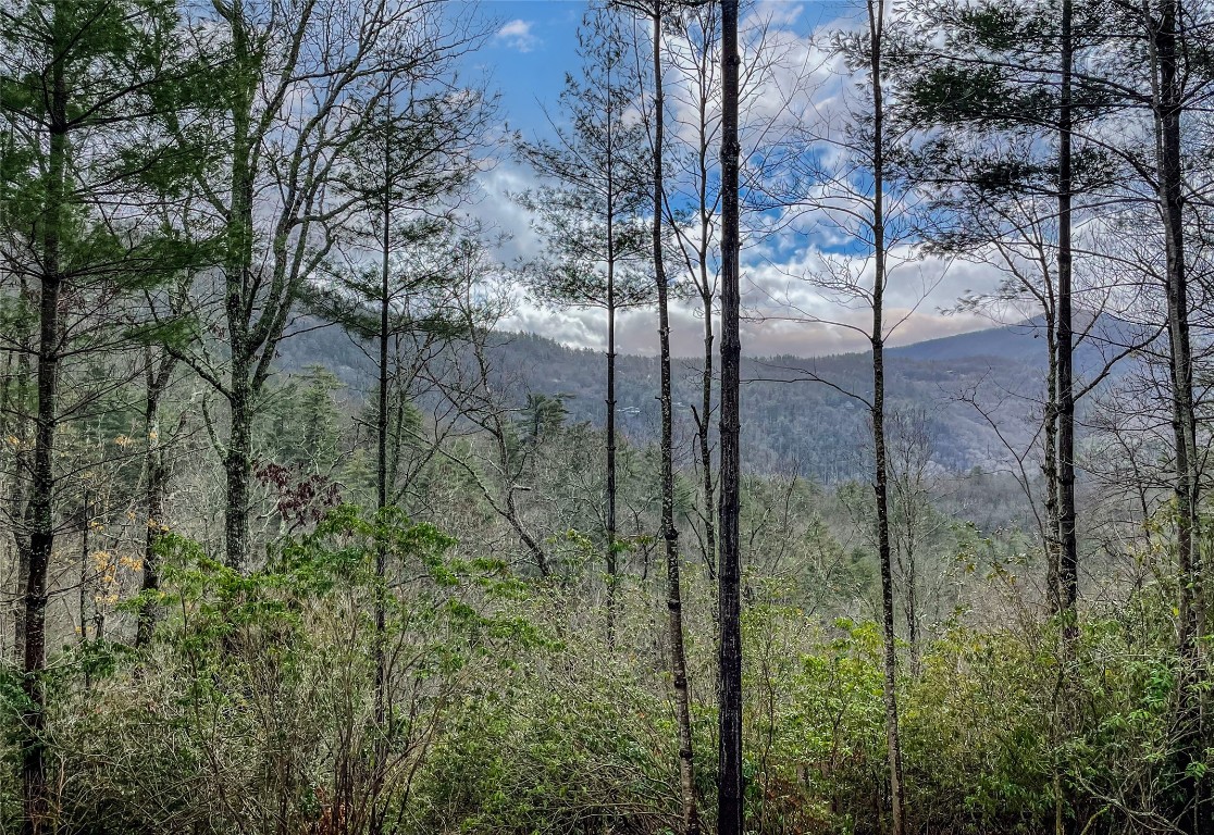 159 Saratay Falls Drive