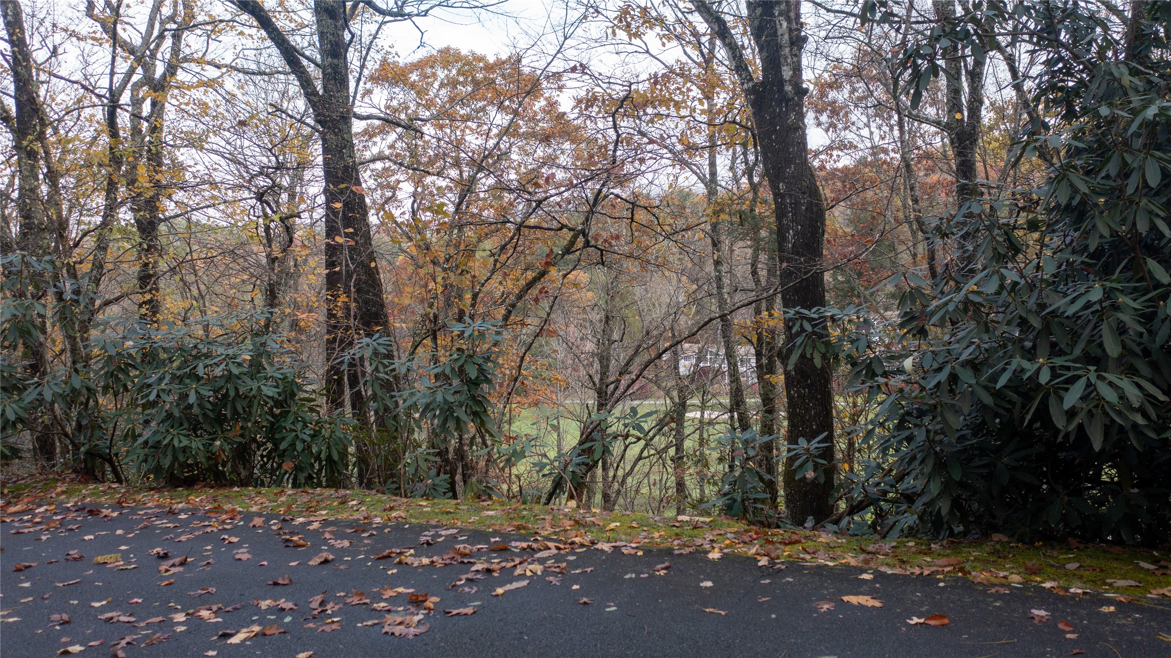 Lot 10 Sassafras Court