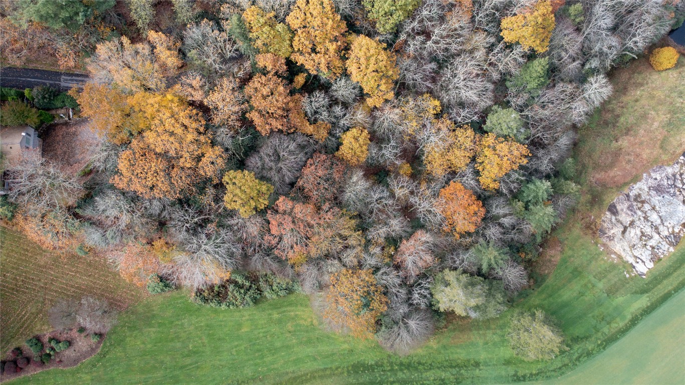 Lot 10 Sassafras Court