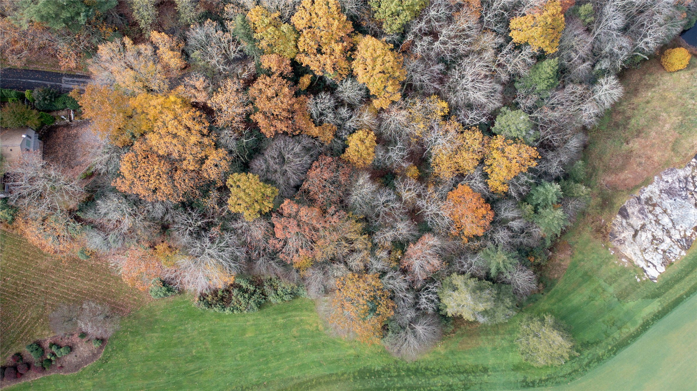 Lot 10 Sassafras Court