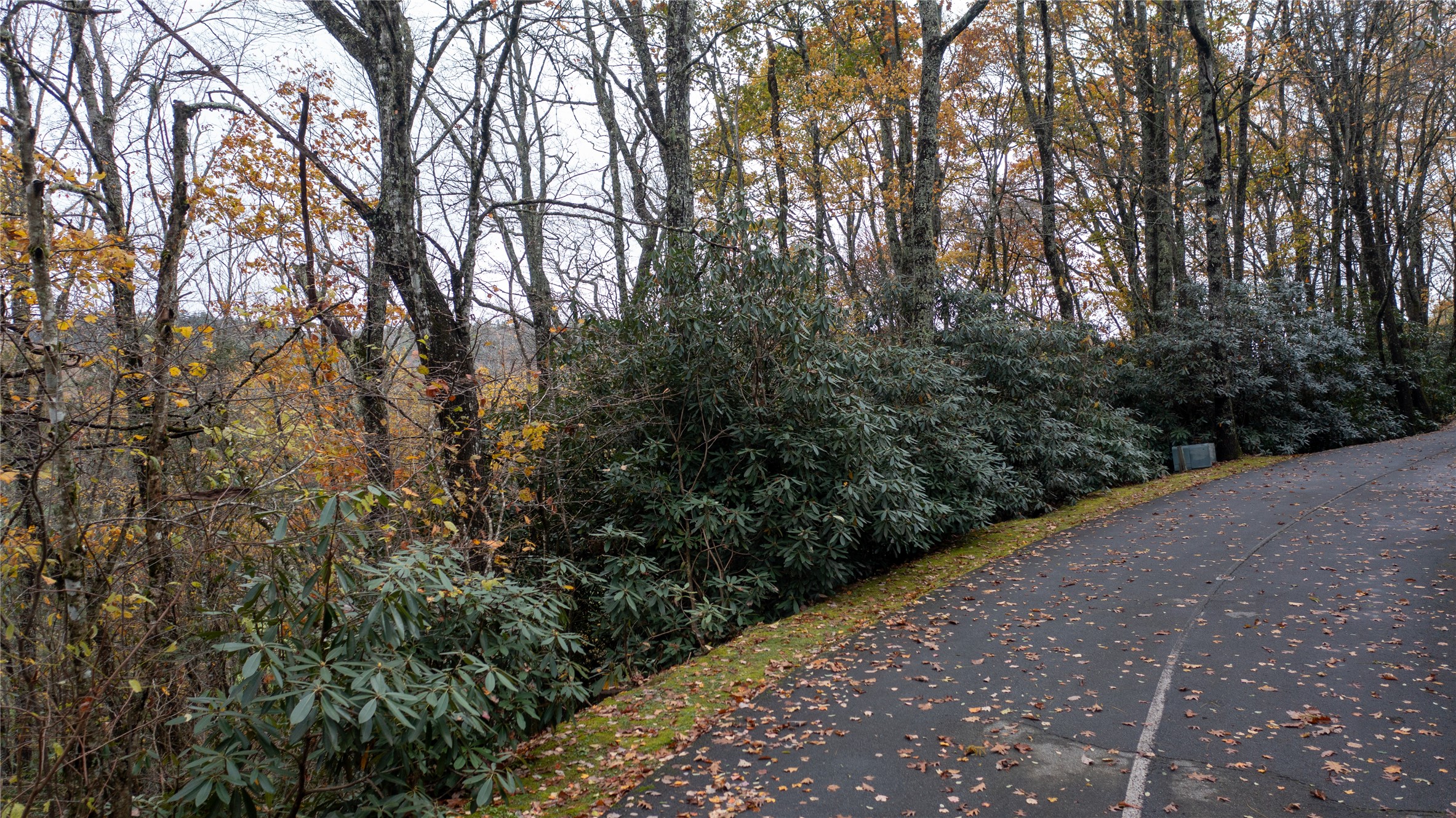 Lot 10 Sassafras Court