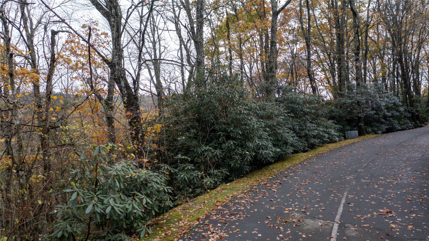 Lot 10 Sassafras Court