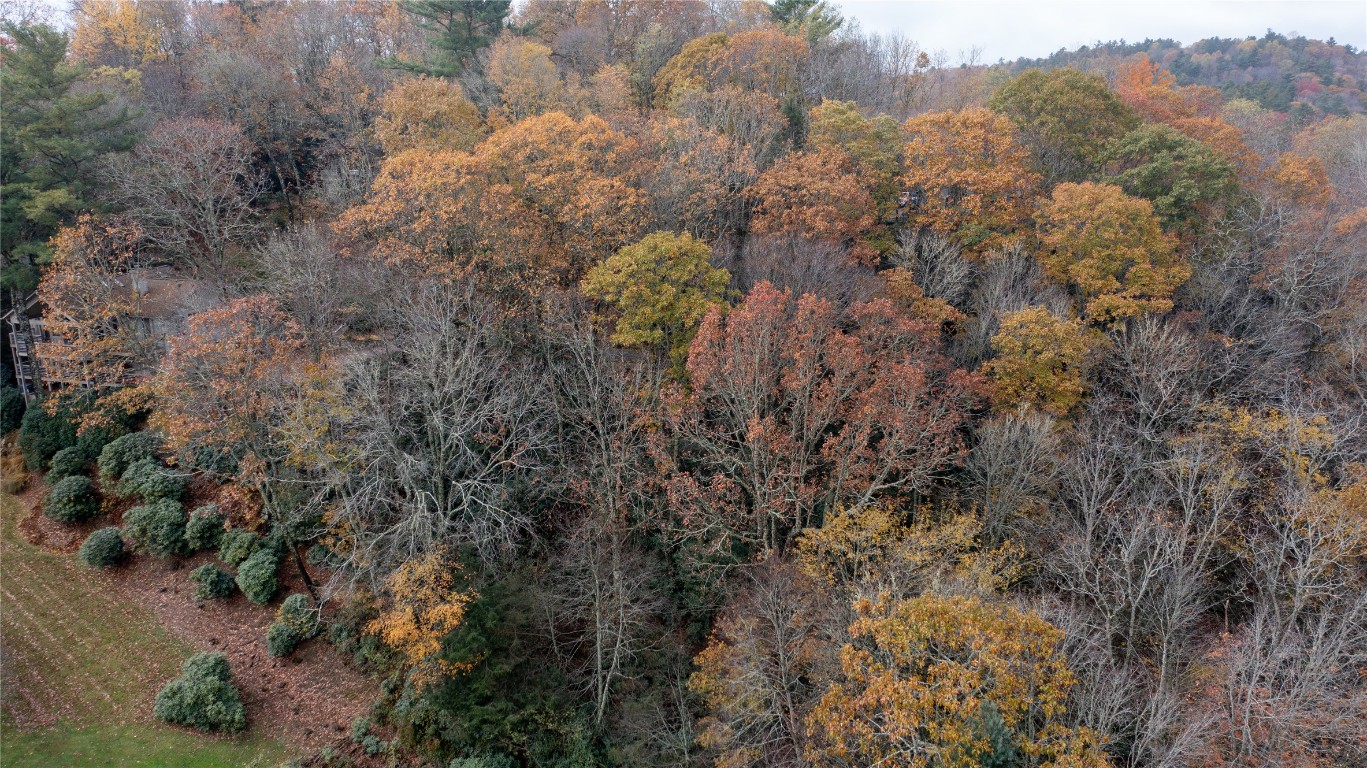 Lot 10 Sassafras Court