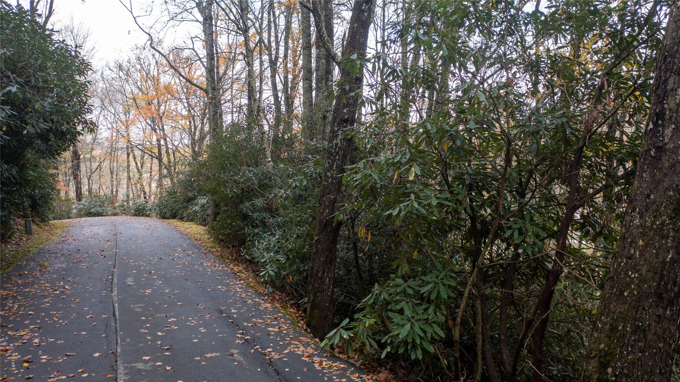 Lot 10 Sassafras Court