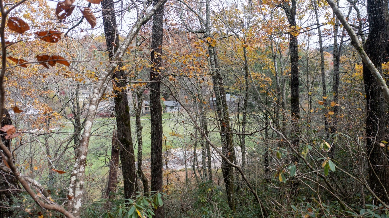 Lot 10 Sassafras Court