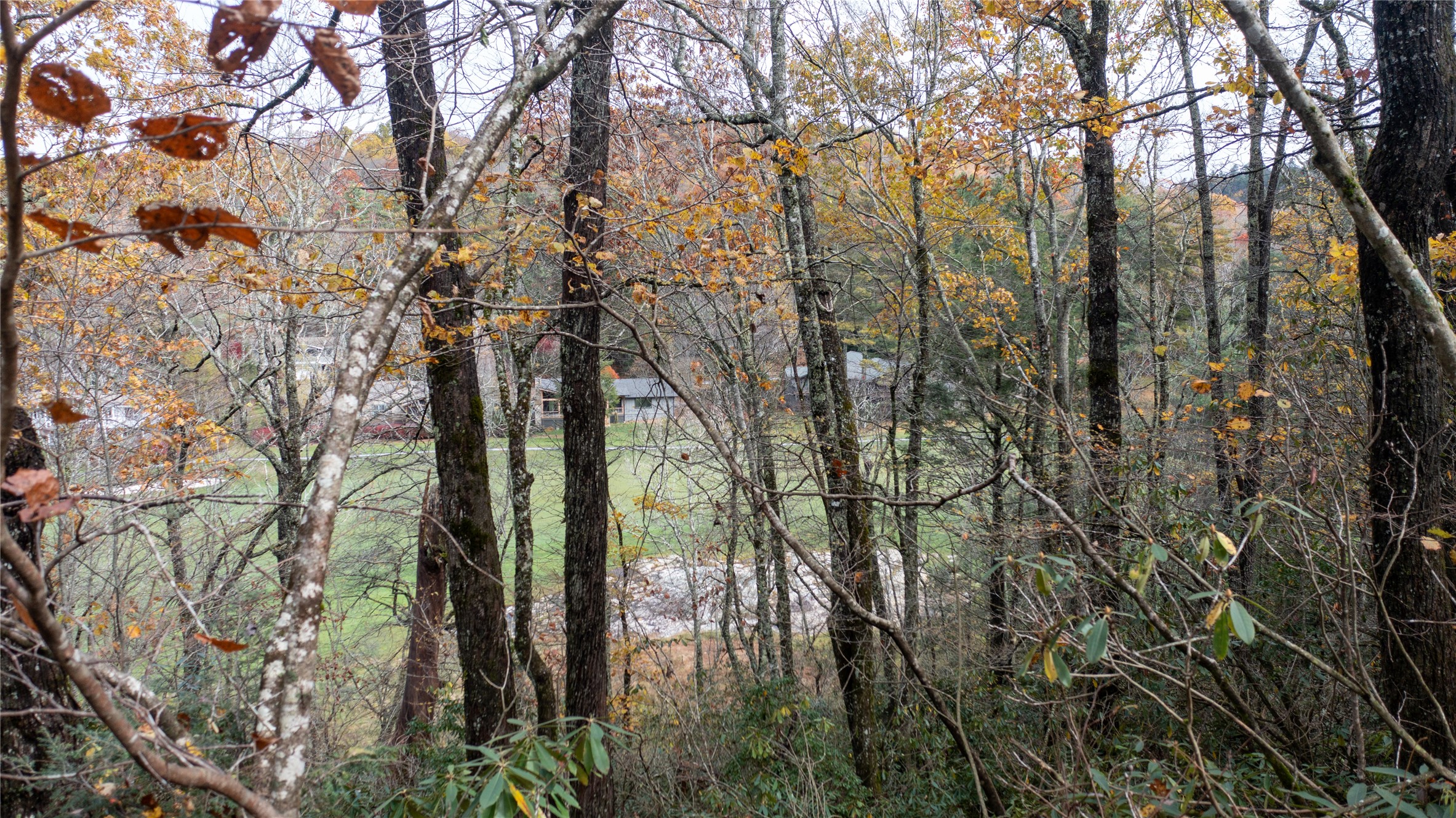 Lot 10 Sassafras Court