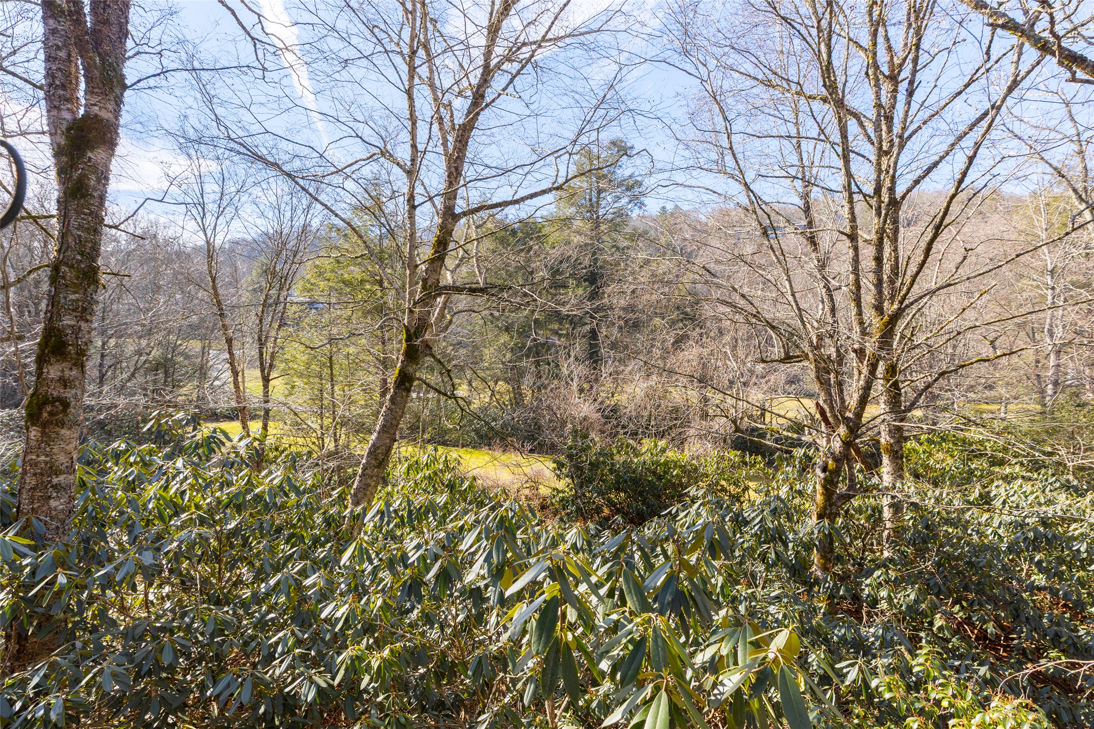 223 Chestnut Cove 6B