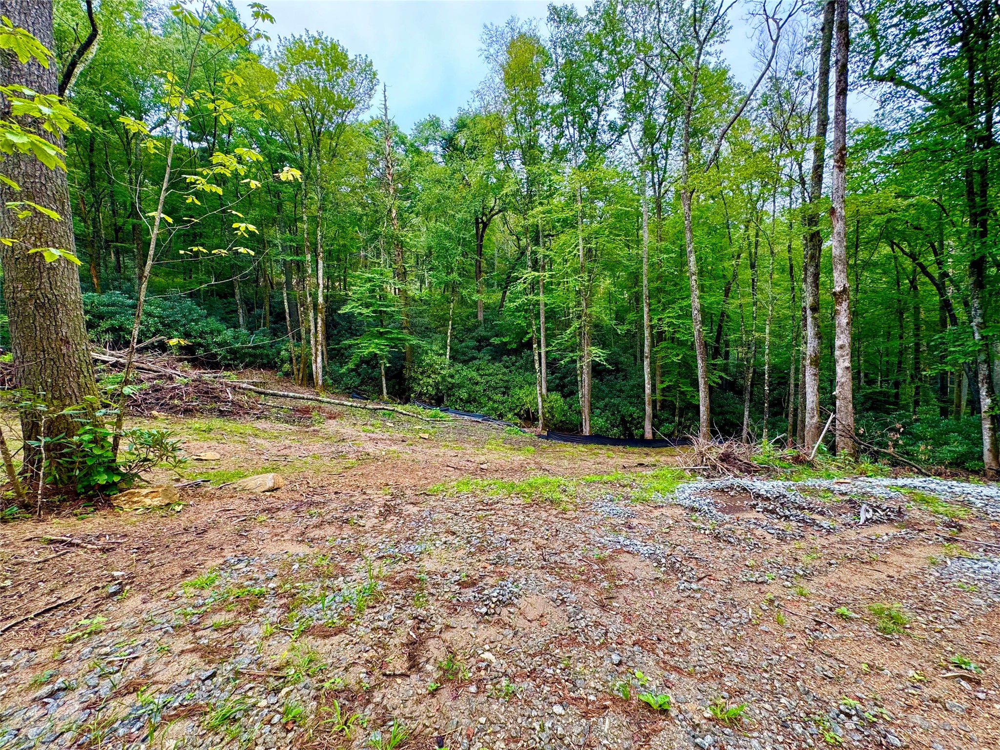 240 Pineland Drive