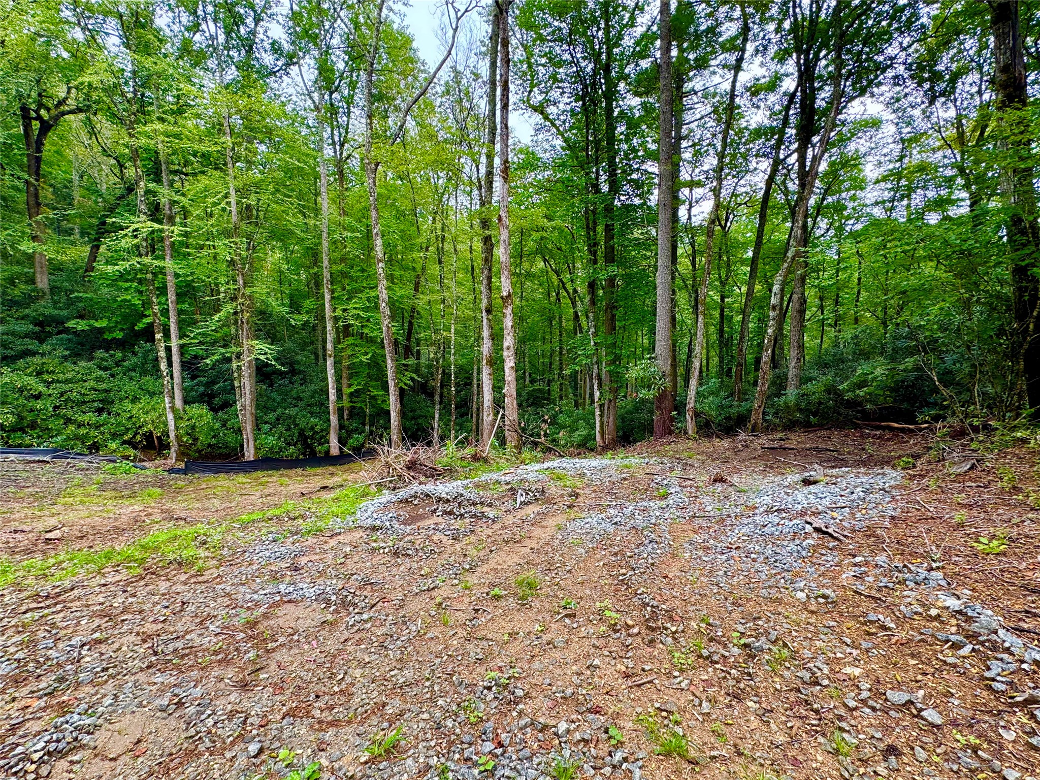 240 Pineland Drive