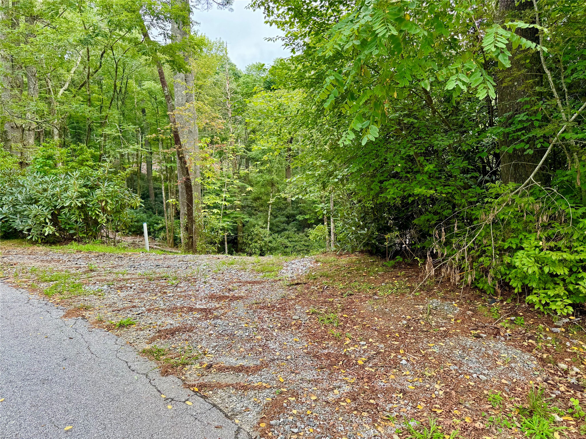 240 Pineland Drive