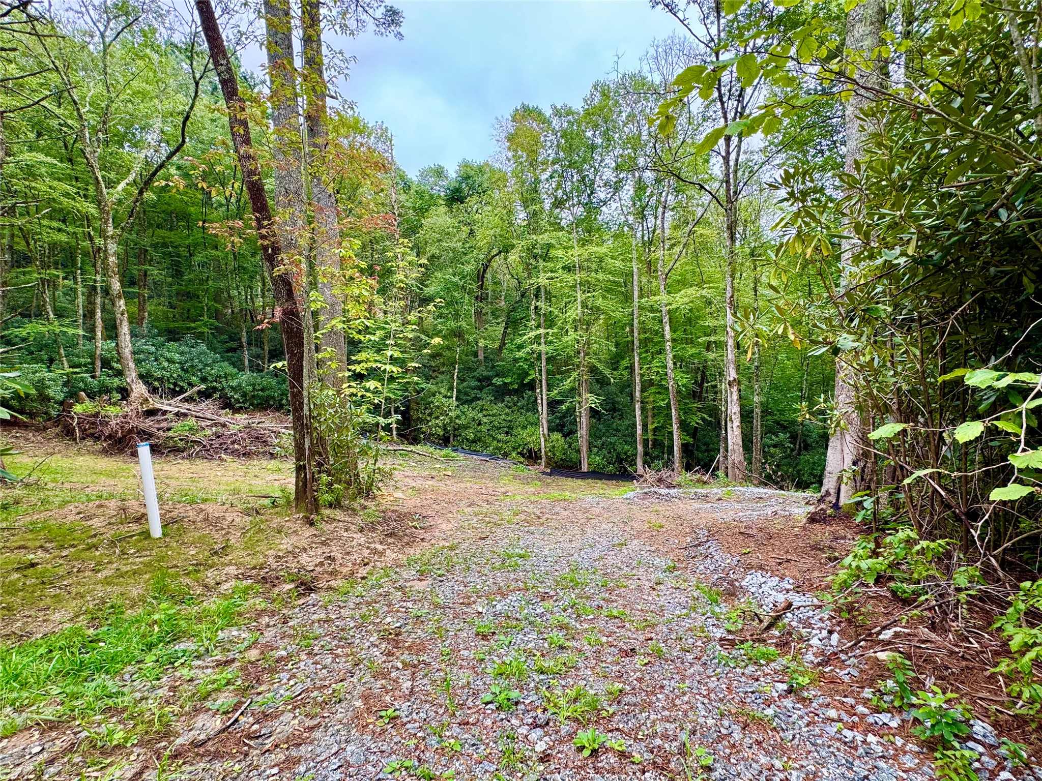 240 Pineland Drive