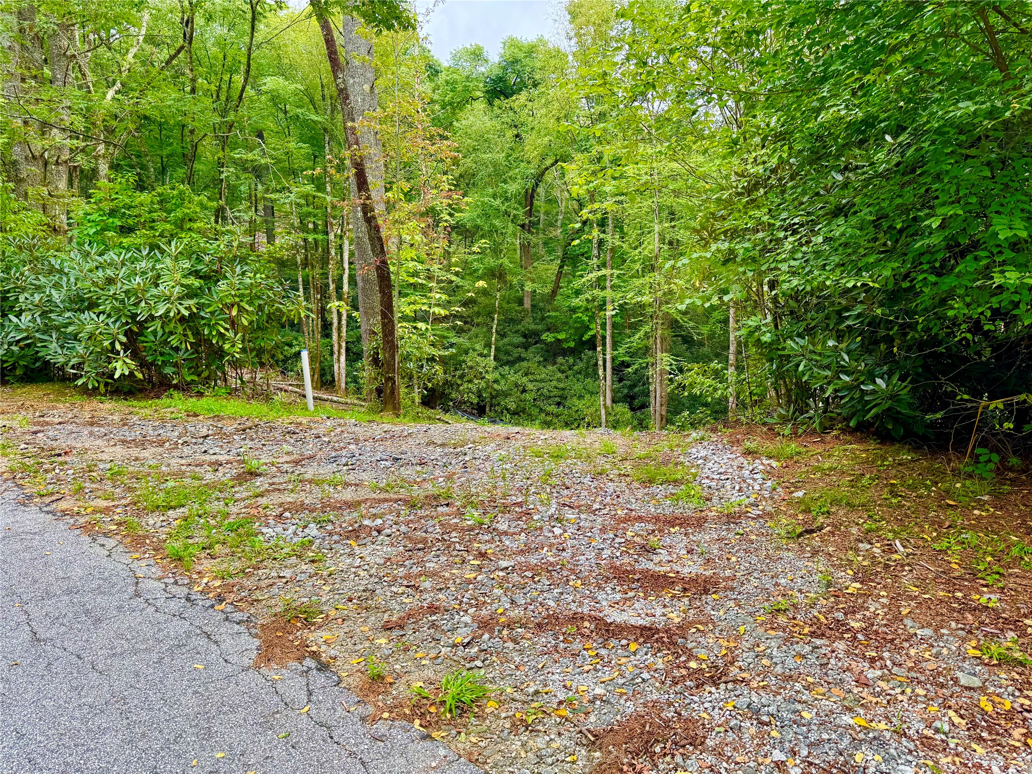 240 Pineland Drive