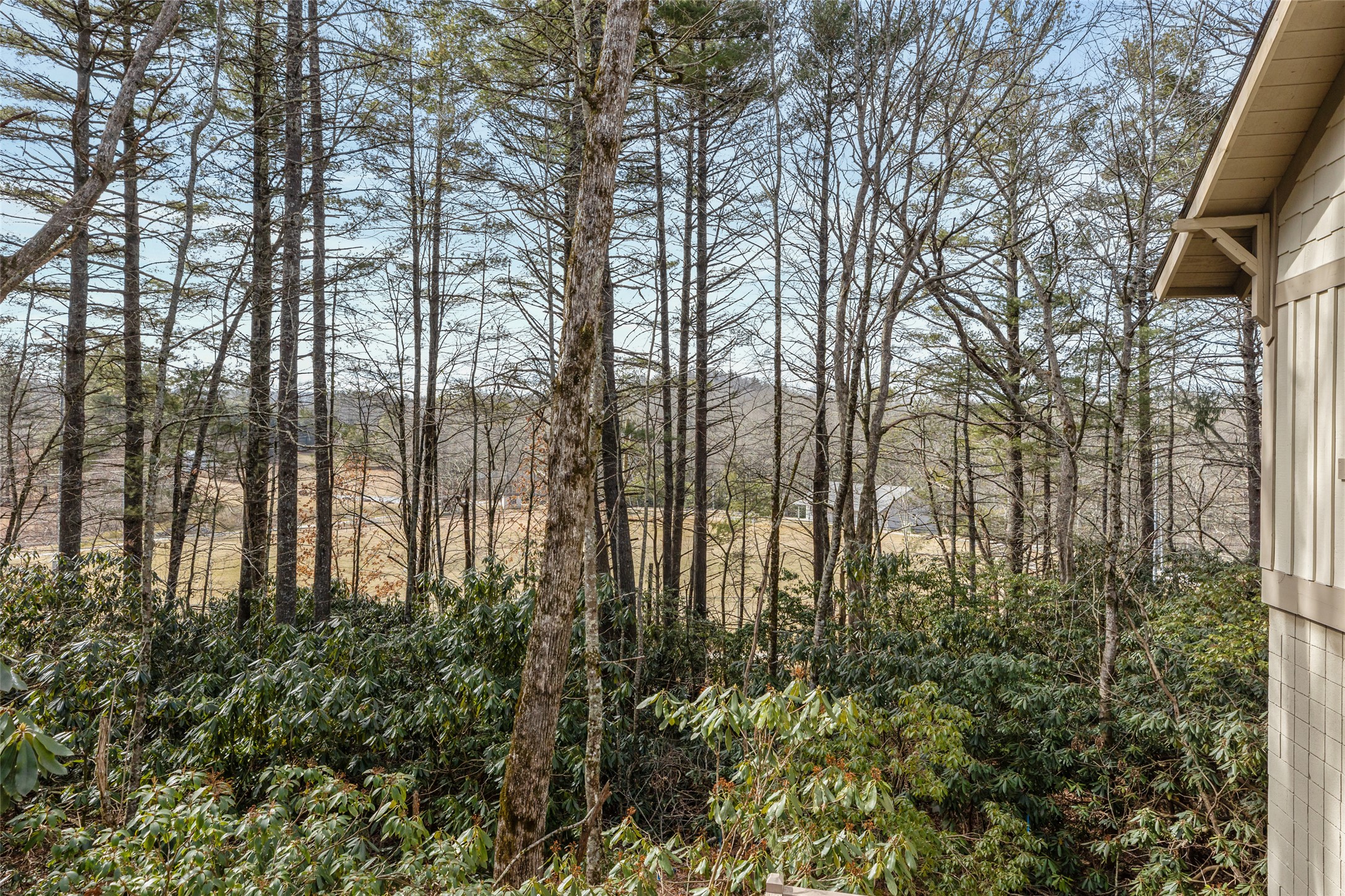 55 Wood Lily Way