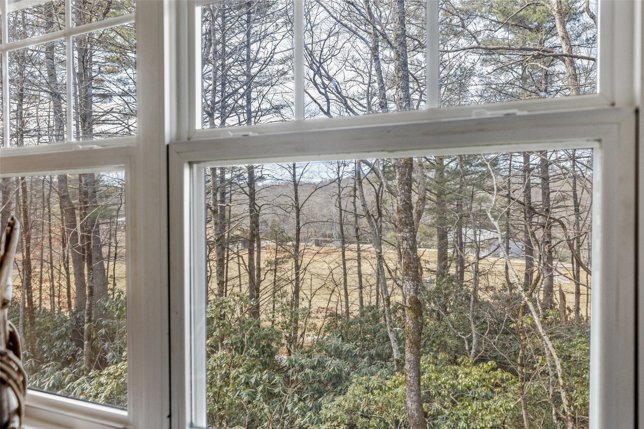 55 Wood Lily Way