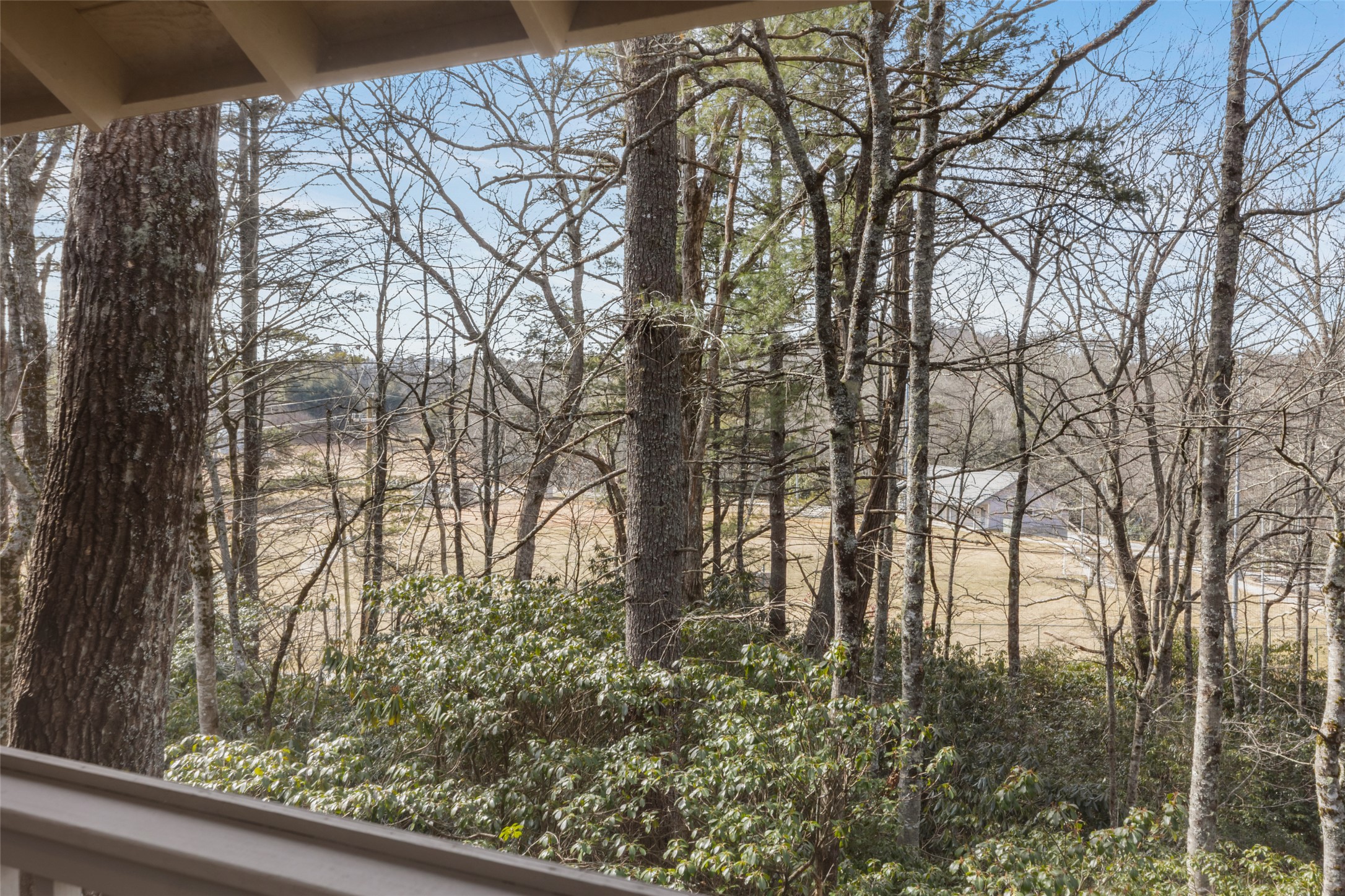 55 Wood Lily Way