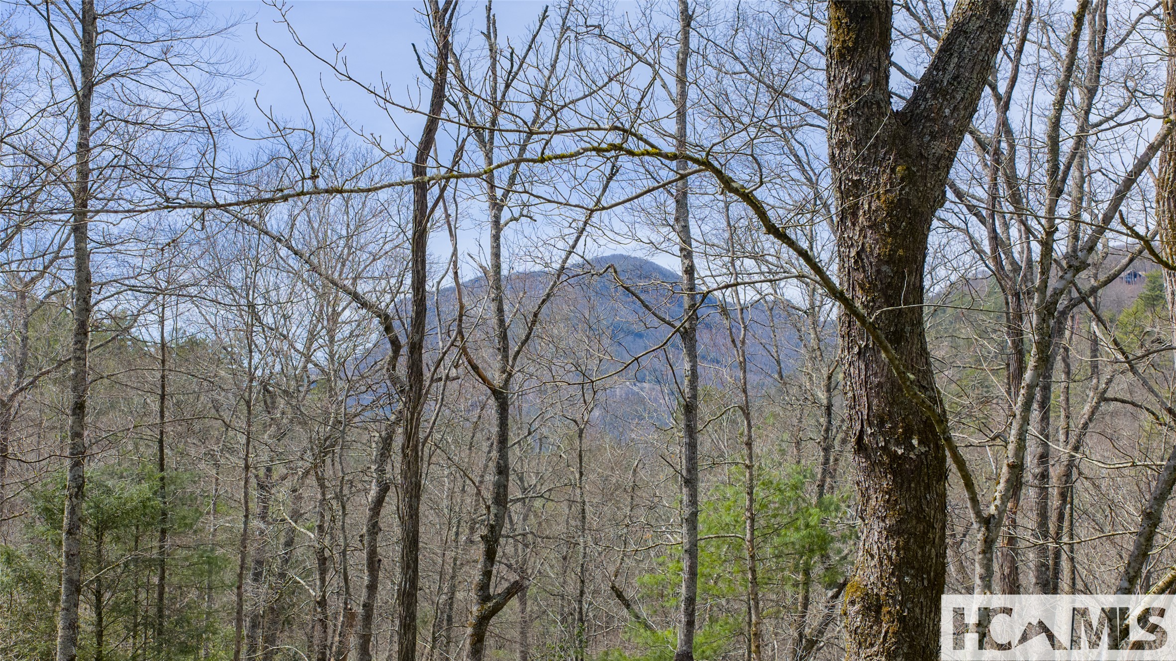 Lot 18 Sartay Falls Road