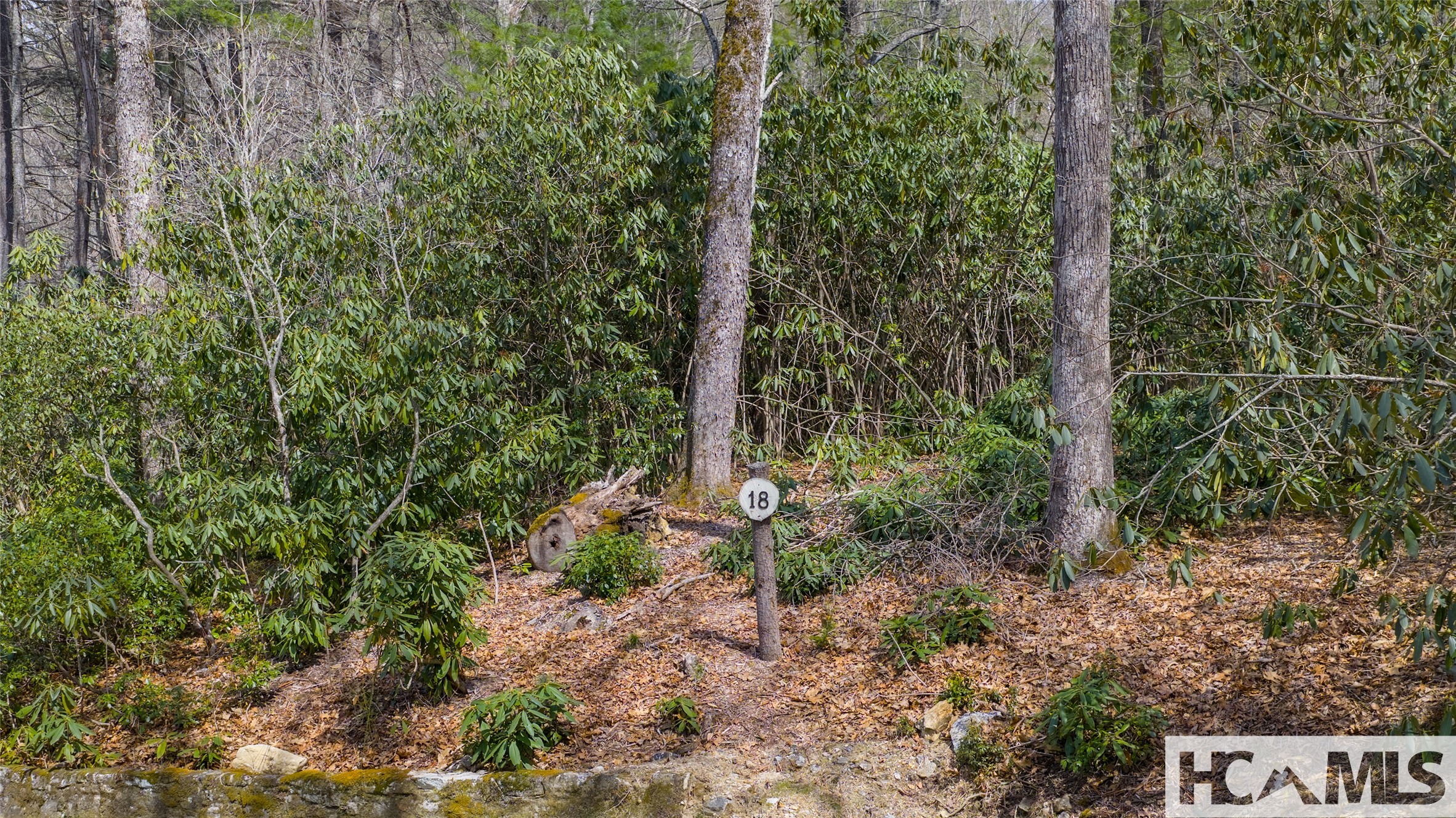 Lot 18 Sartay Falls Road